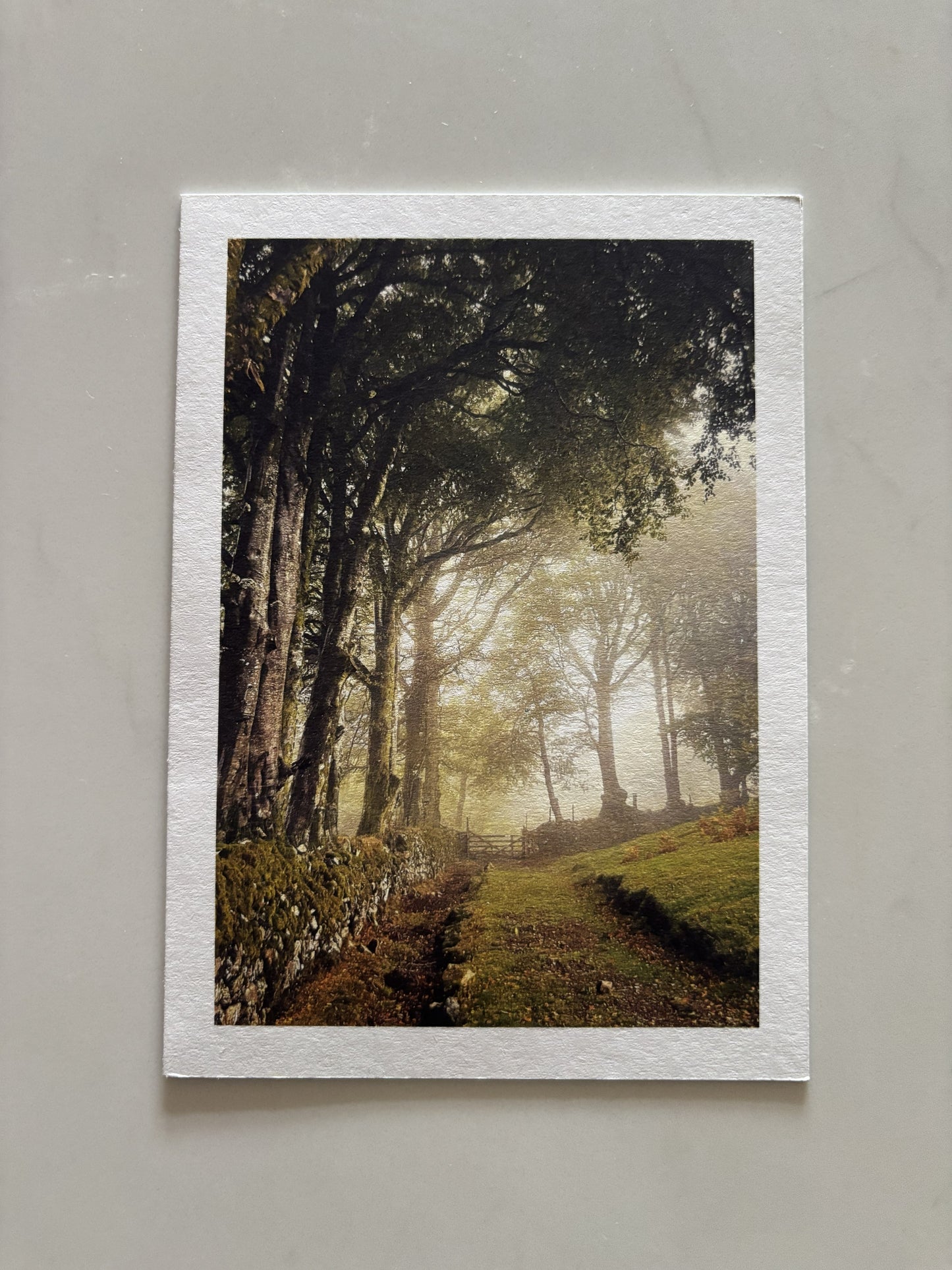 Misty Moor Gate, Sticklepath, Dartmoor