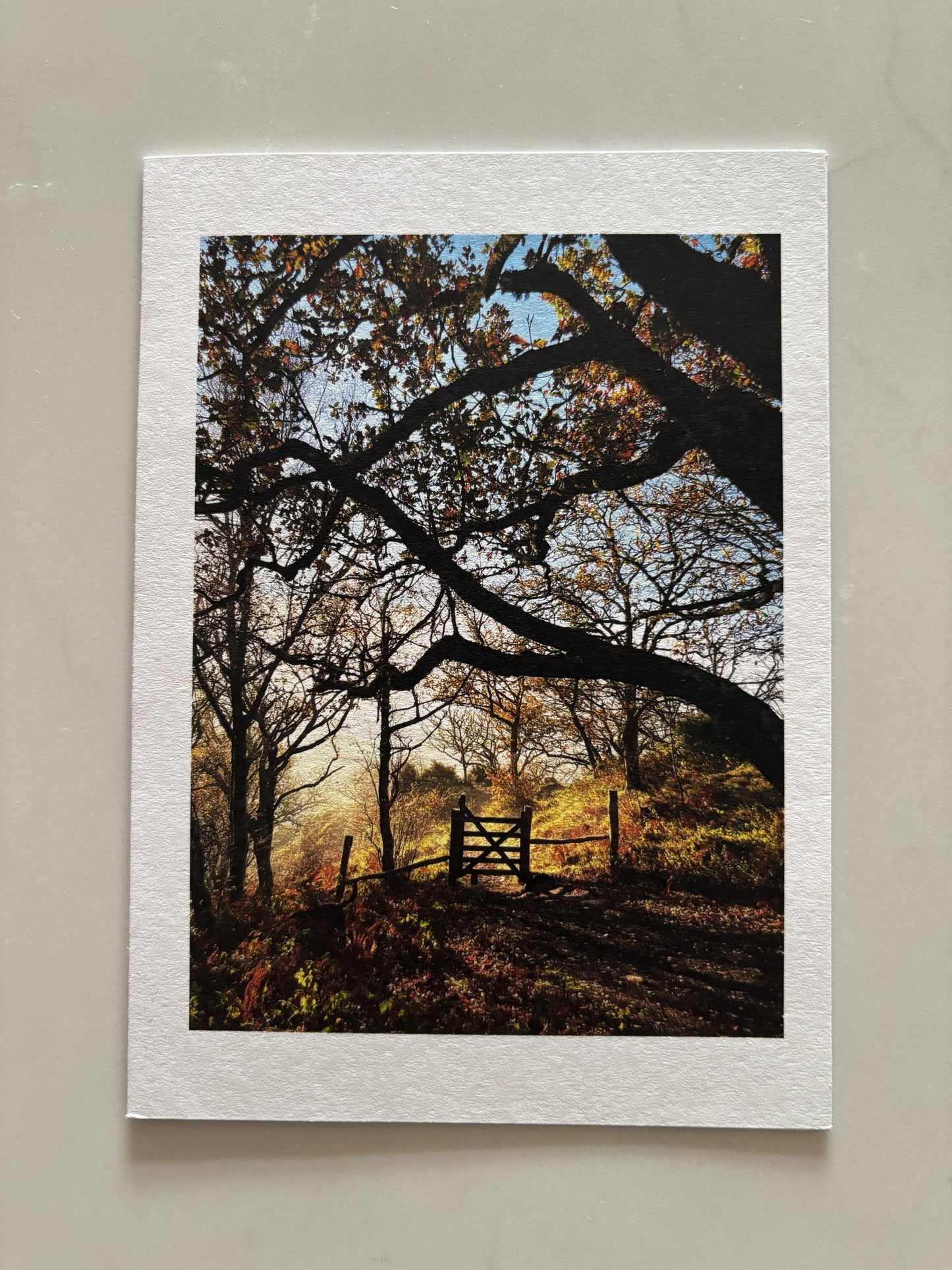 Hunters Tor Gate, Castle Drogo, Dartmoor