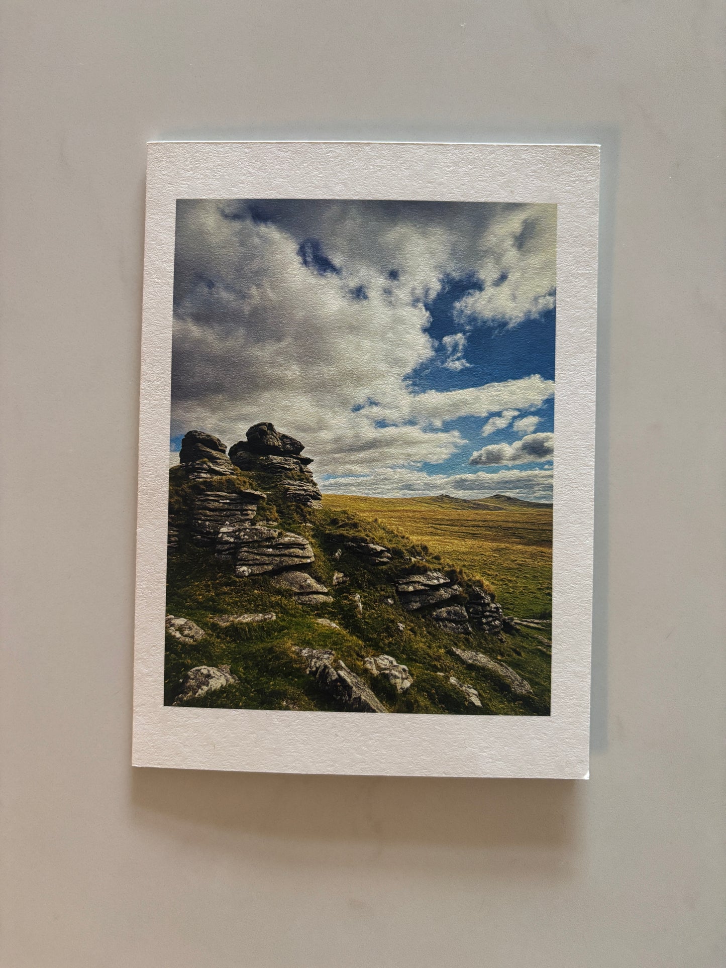 Arms Tor View, Dartmoor