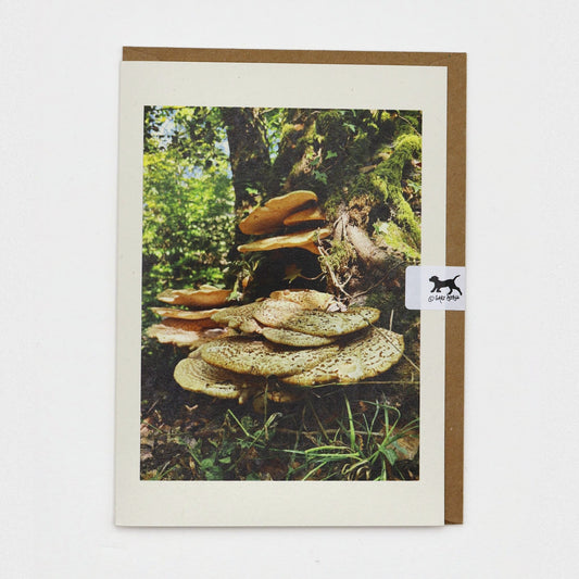 Dryad’s Saddle Dartmoor greeting card on a kraft envelope with Gaby Doodle dog seal