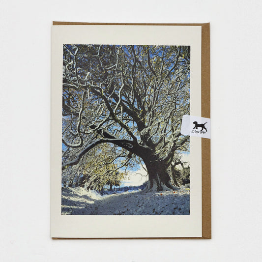 Snow on the Sheep Field Tree Dartmoor Christmas card on a kraft envelope with Gaby Doodle dog seal
