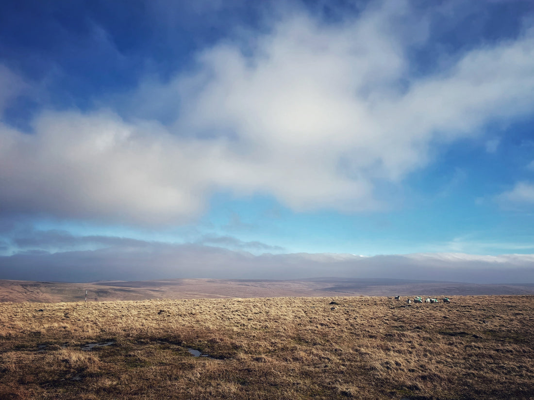 Why Dartmoor photographs like a watercolour painting