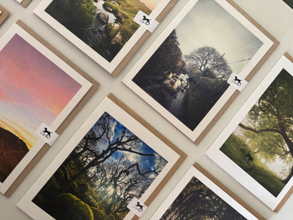Wholesale Mixed Card Pack (250 cards)