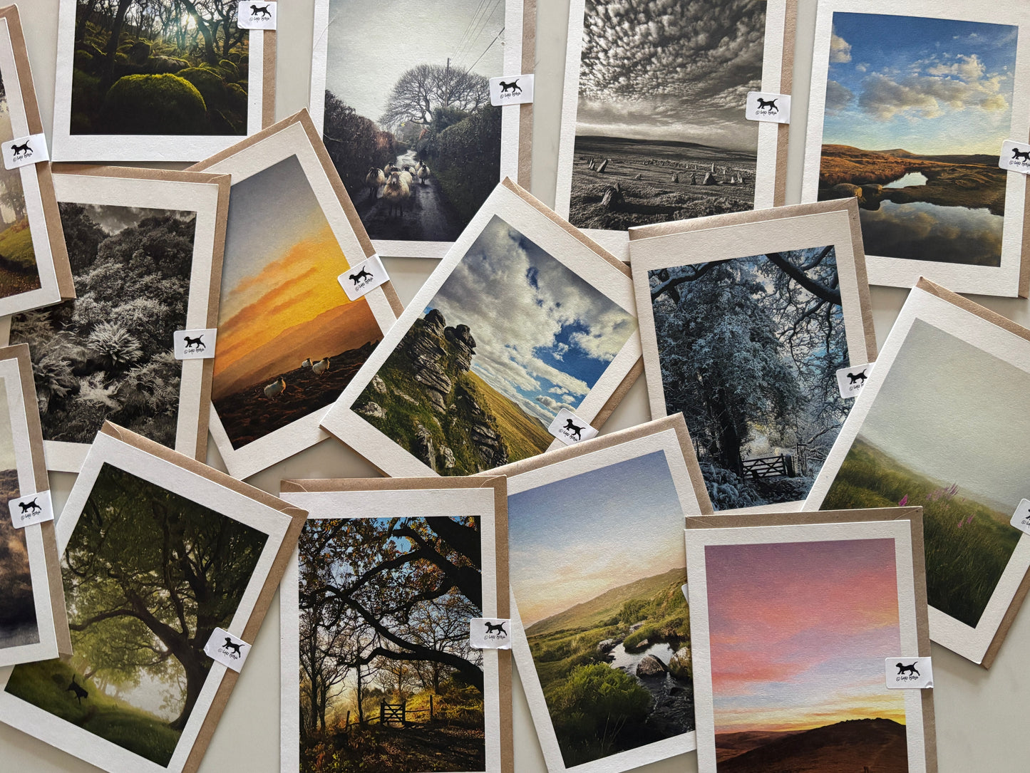 Wholesale Mixed Card Pack (250 cards)