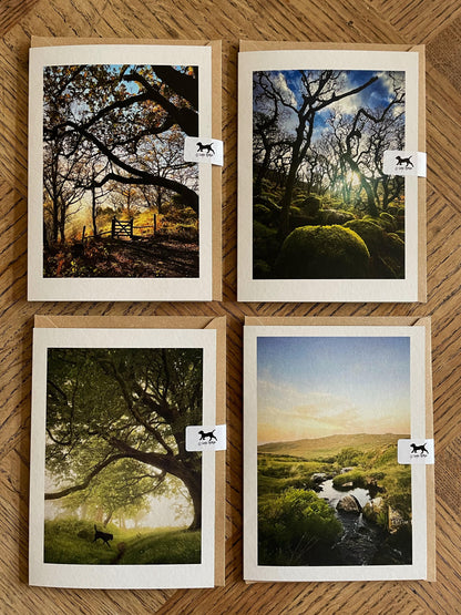 Pack of Eight Dartmoor Landscape Greetings Cards