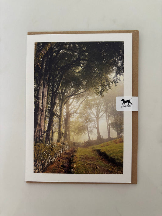 Misty Moor Gate, Sticklepath, Dartmoor