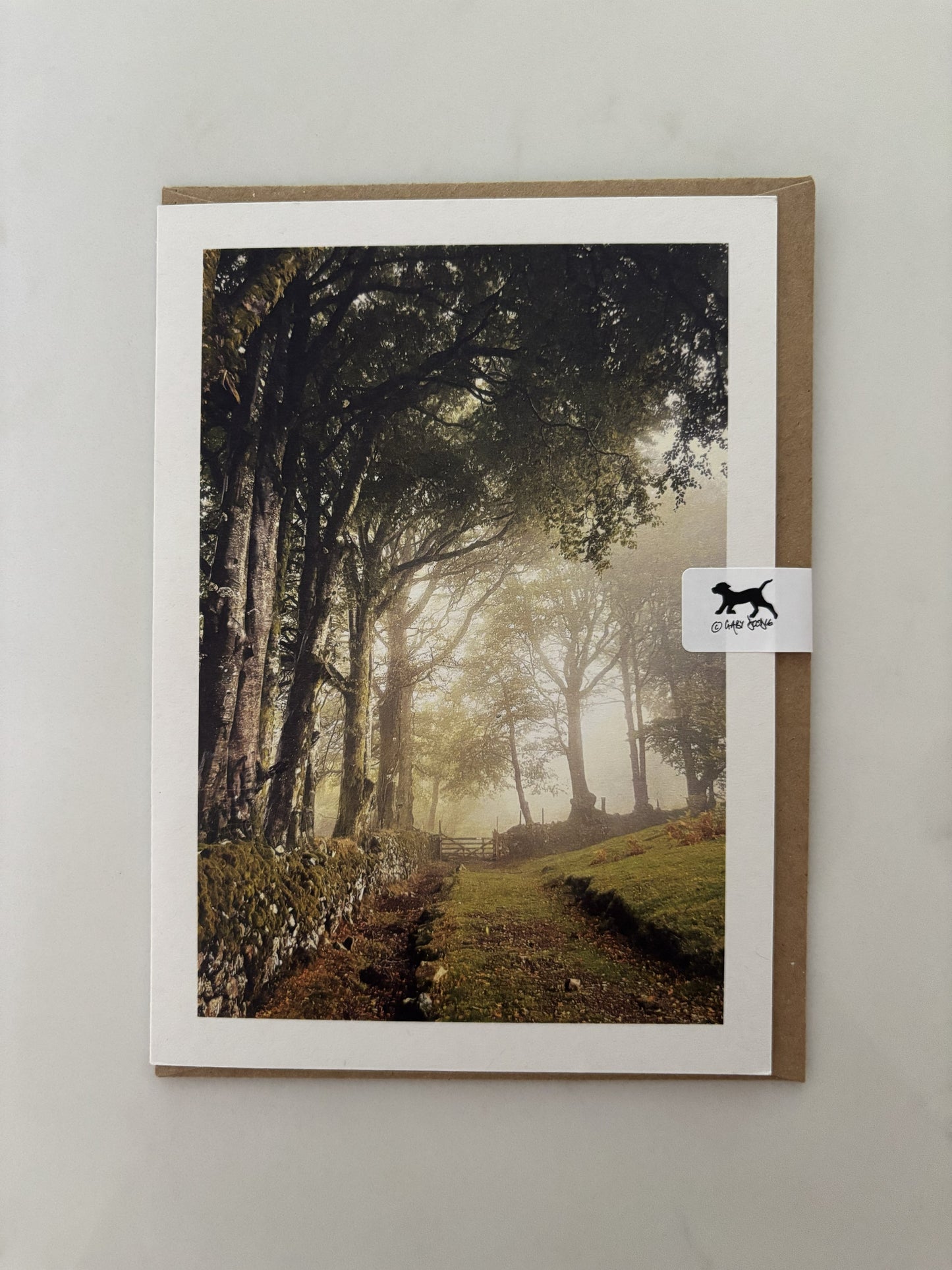 Misty Moor Gate, Sticklepath, Dartmoor