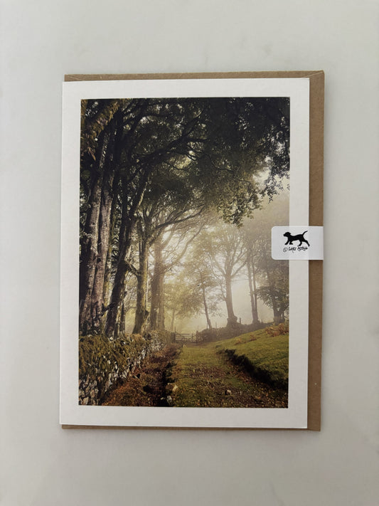 Misty Moor Gate, Sticklepath, Dartmoor