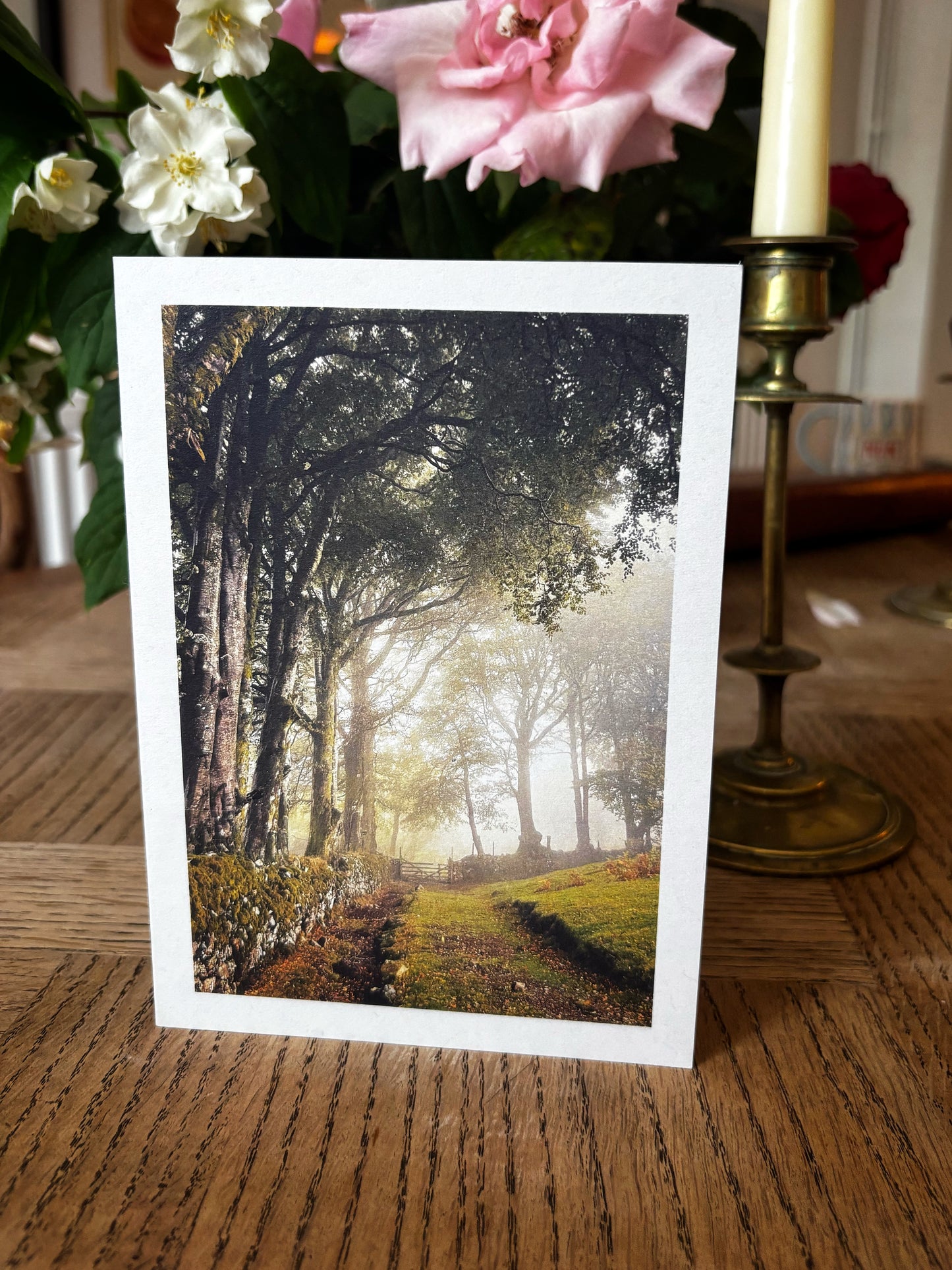 Greeting Card with scenic photograph of a Misty tree-lined path leading to a gate near South Zeal, Dartmoor