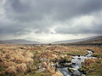  Wide open moorland view looking north along the Taw Valley, Dartmoor, Devon available as an artprint A3