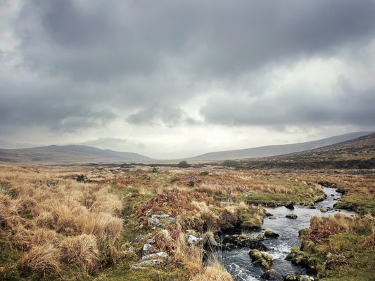  Wide open moorland view looking north along the Taw Valley, Dartmoor, Devon available as an artprint A3