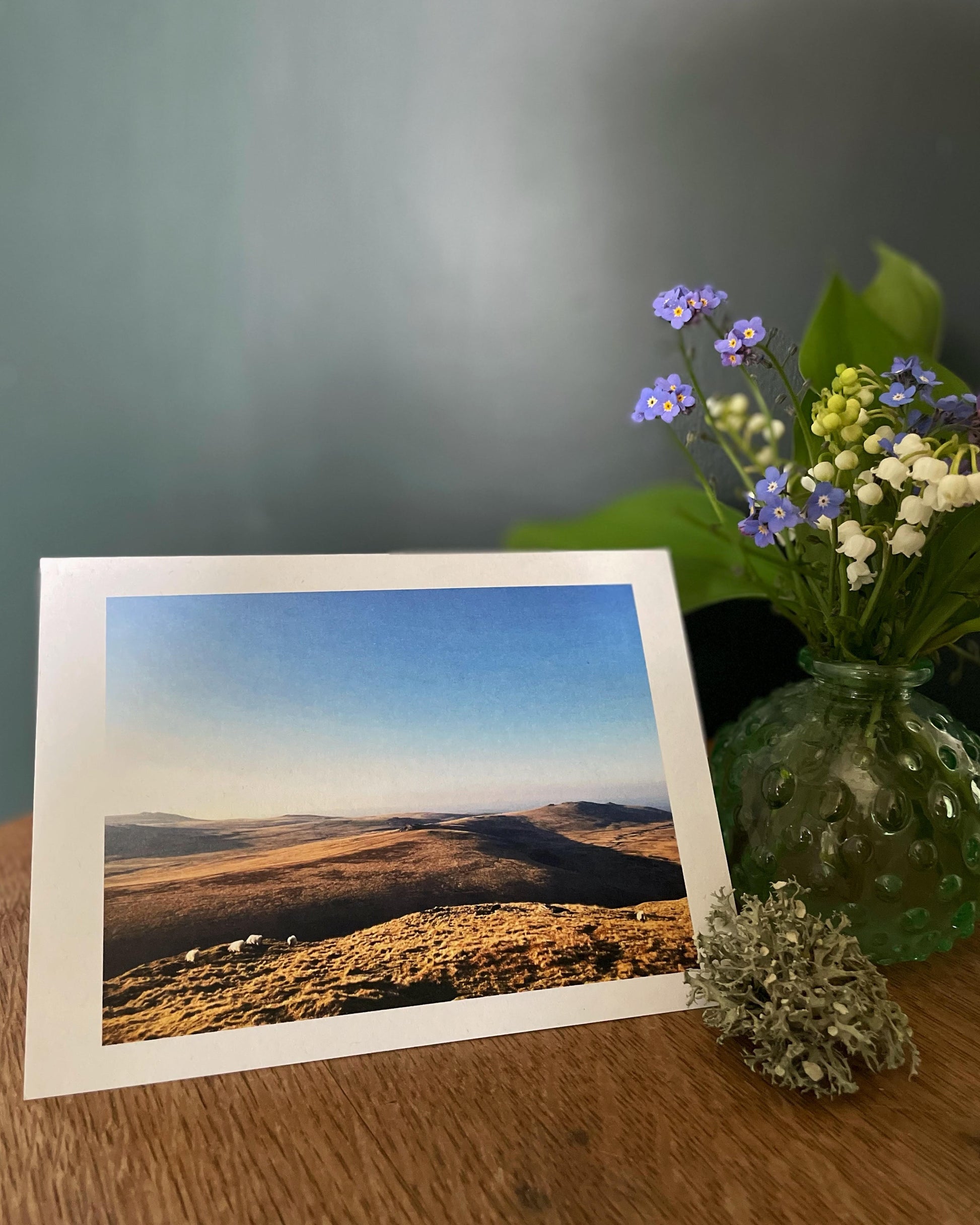 greeting card by gabydoodle of sheep on Steeperton Tor, Dartmoor, Devon with a vista of wild moorland beyond under a blue sky