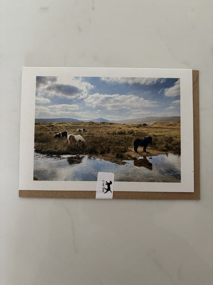 Ponies at Taw Marsh Horseshoe, Dartmoor