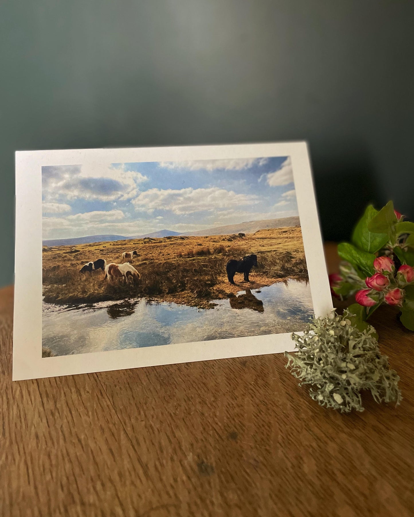 Greeting card with Dartmoor ponies grazing and drinking at Taw Marsh Horseshoe, Dartmoor, Devon