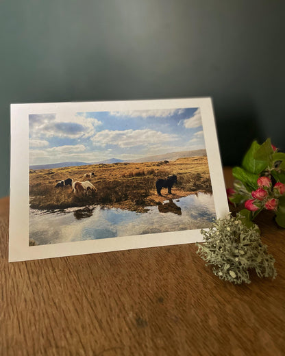 Greeting card with Dartmoor ponies grazing and drinking at Taw Marsh Horseshoe, Dartmoor, Devon