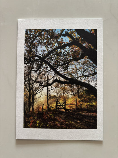Hunters Tor Gate, Castle Drogo, Dartmoor