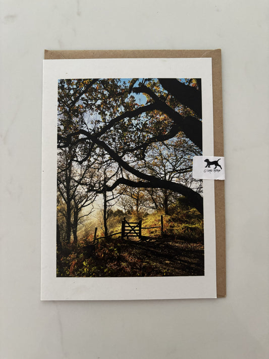 Hunters Tor Gate, Castle Drogo, Dartmoor