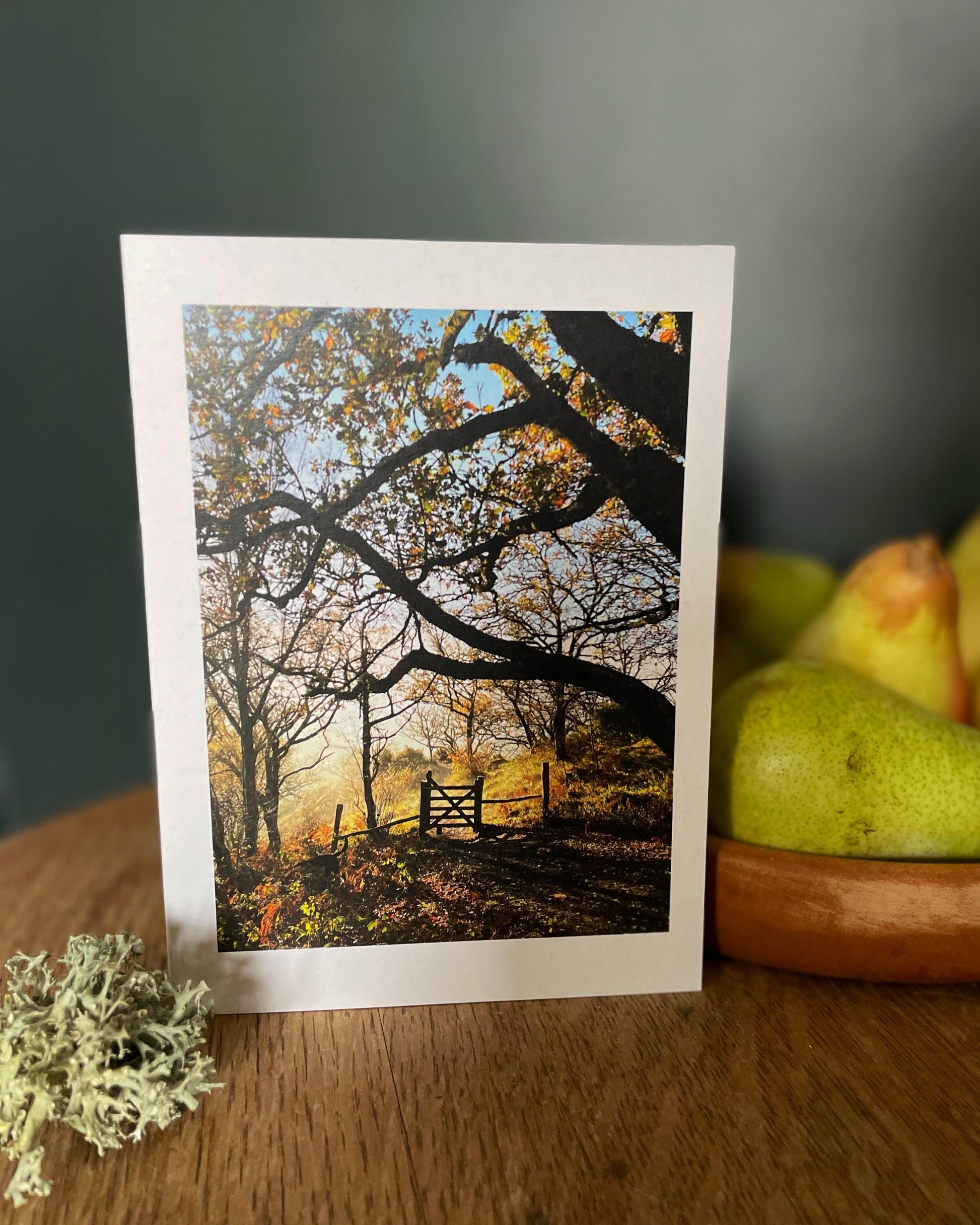 Greeting card with autumn landscape of woodland framing a wooden gate in autumn sunlight at Hunters Tor, below Castle Drogo, Drewsteignton, Dartmoor, Devon