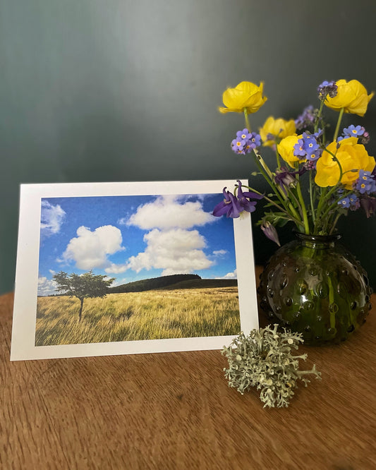 Greeting card with a bright sunny picture of a lone tree on Dartmoor  under blue skies and Fernworthy forest behind