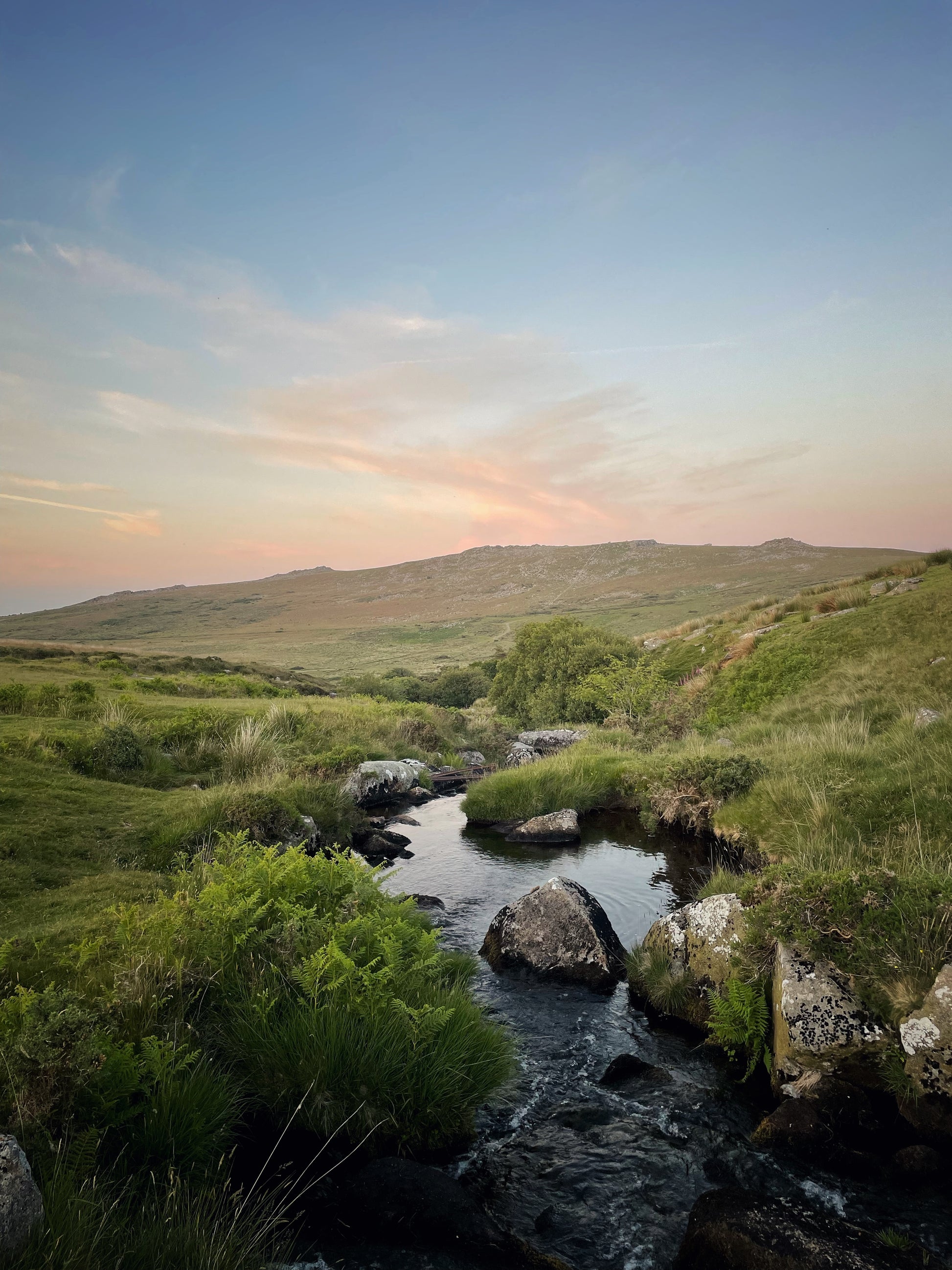  Sunset Black-a-Ven Brook flowing through moorland in summer, Dartmoor, Devon