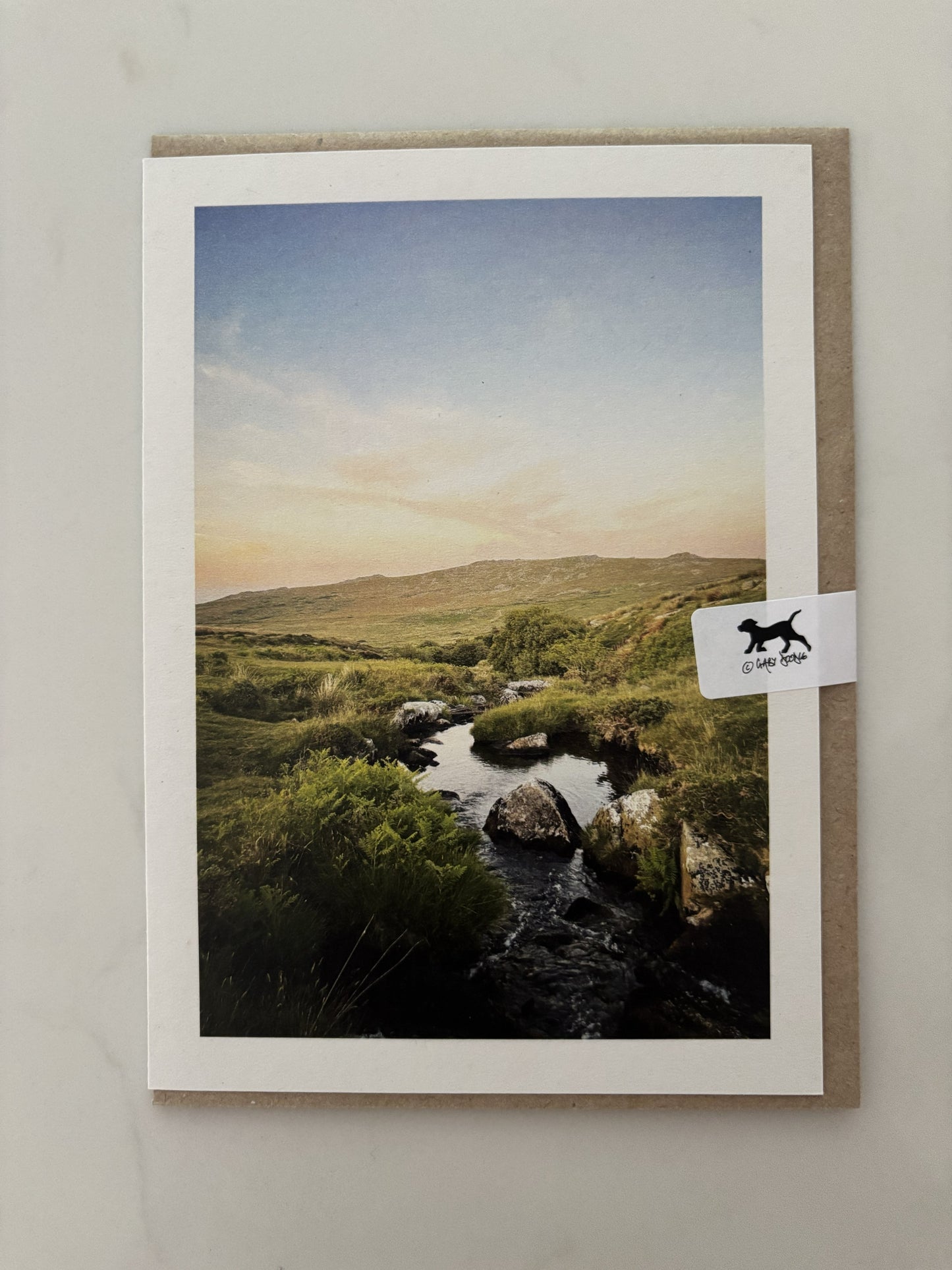Black-a-ven Brook, Dartmoor