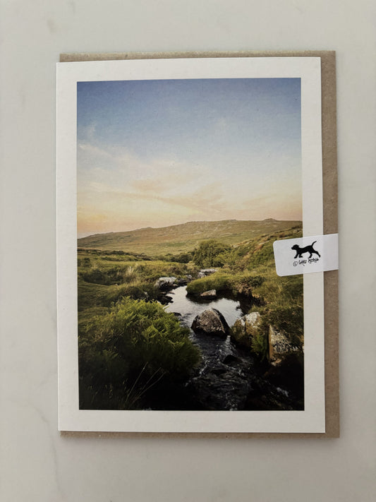 Black-a-ven Brook, Dartmoor