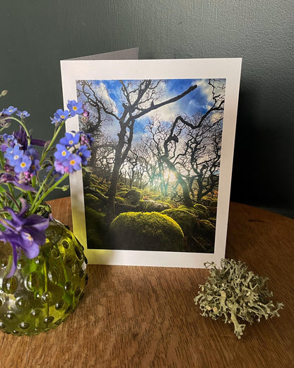 Greeting card with forest design,  moss and rocks  of the Ancient temperate rainforest on Dartmoor, Devon in Lifestyle setting