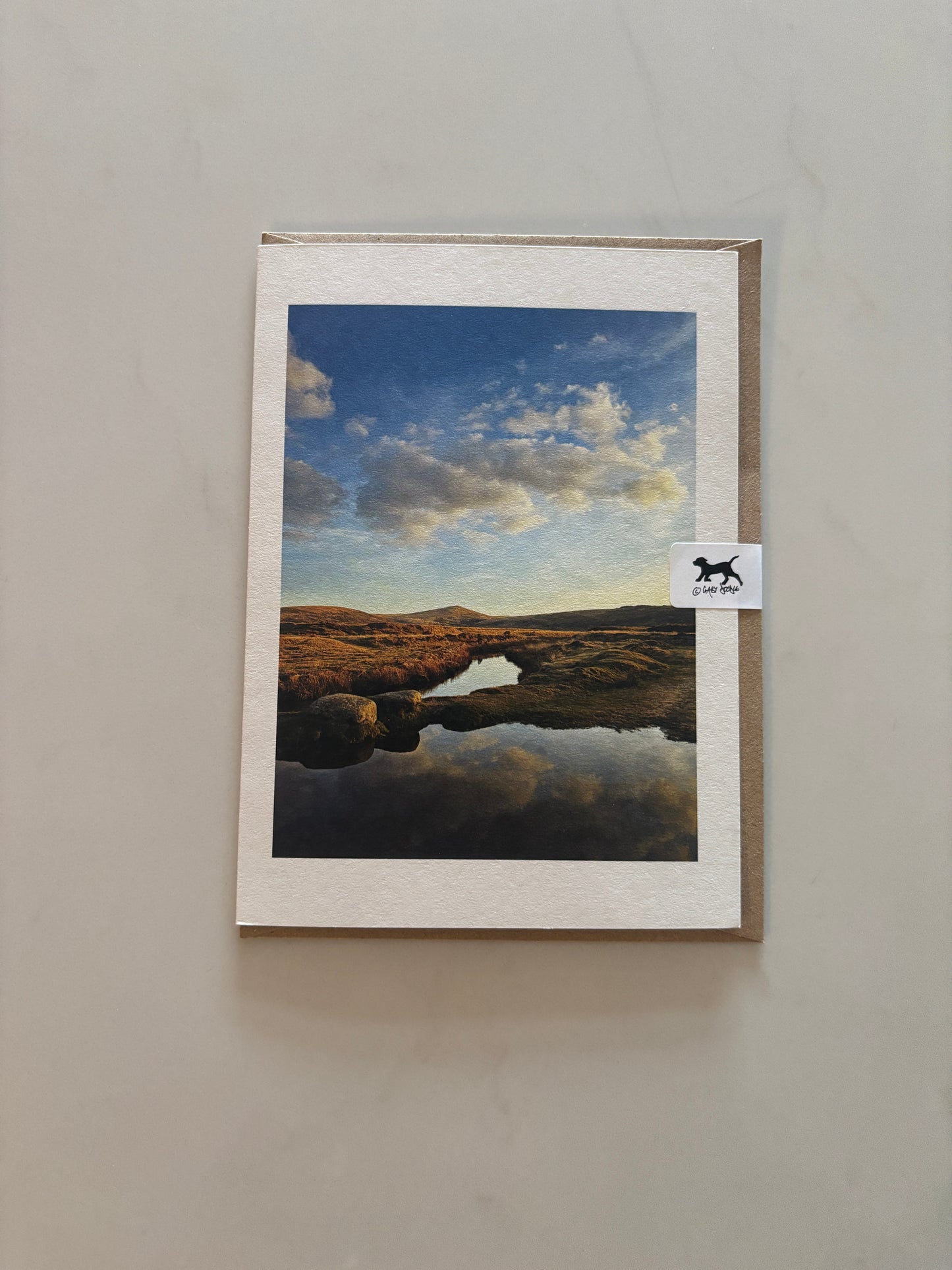Taw Marsh Reflections, Belstone, Dartmoor