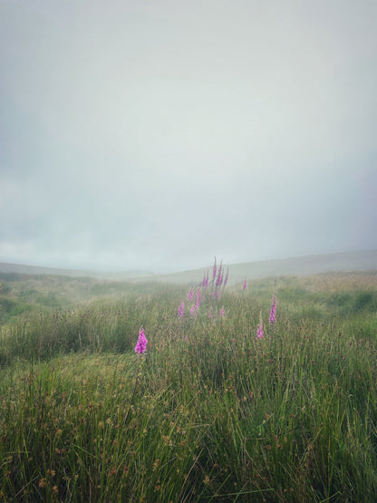 Custom Dartmoor Giclée Fine Art Print