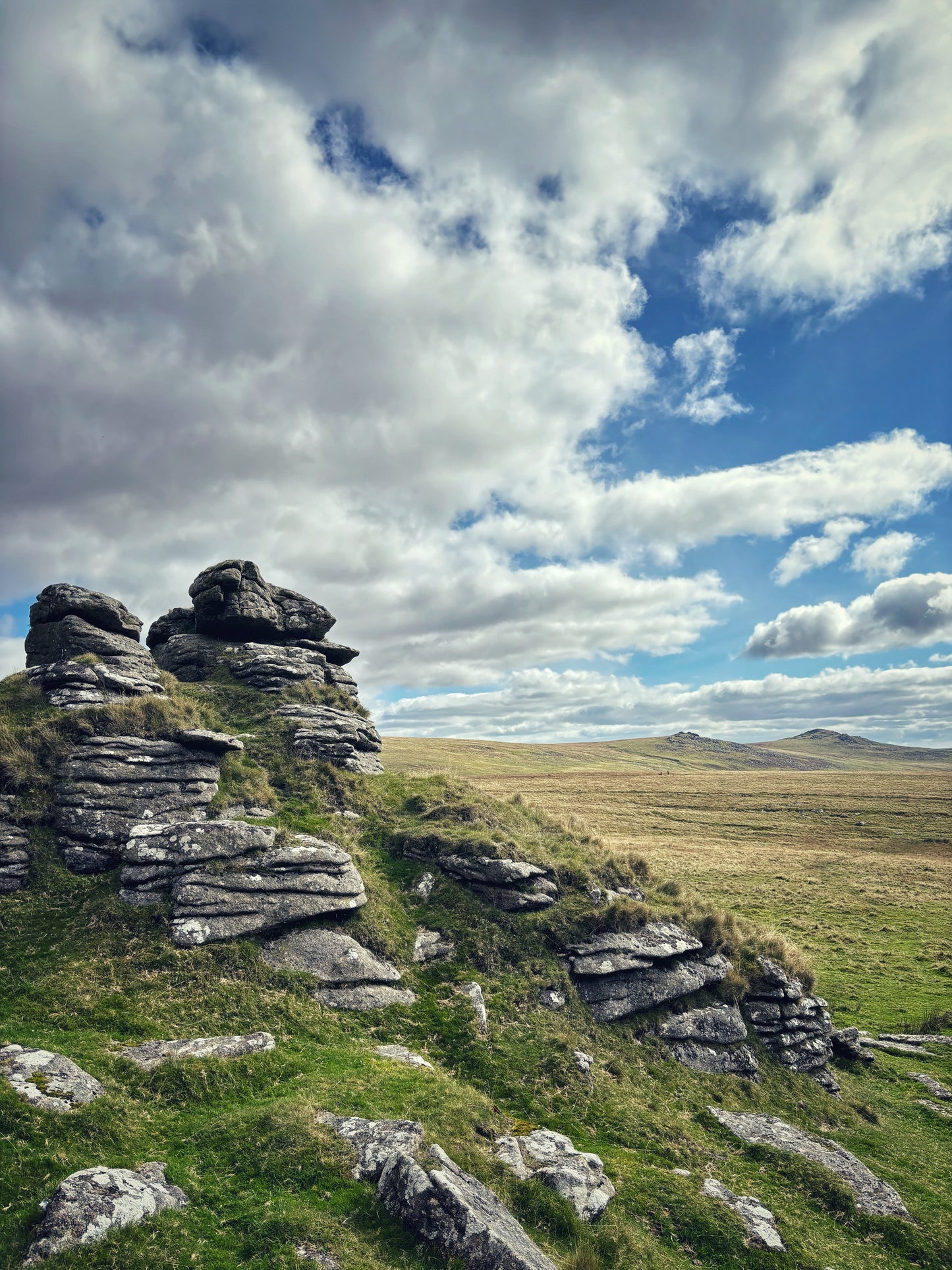 Arms Tor View, Dartmoor