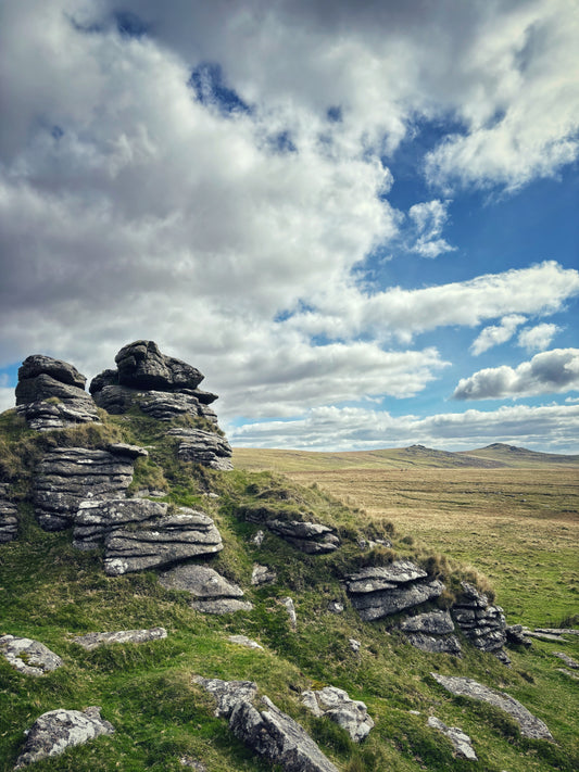 Arms Tor View, Dartmoor