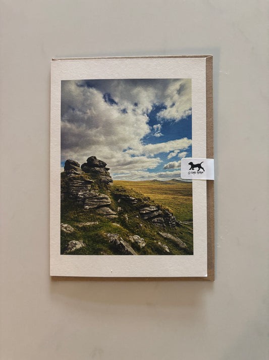 Arms Tor View, Dartmoor
