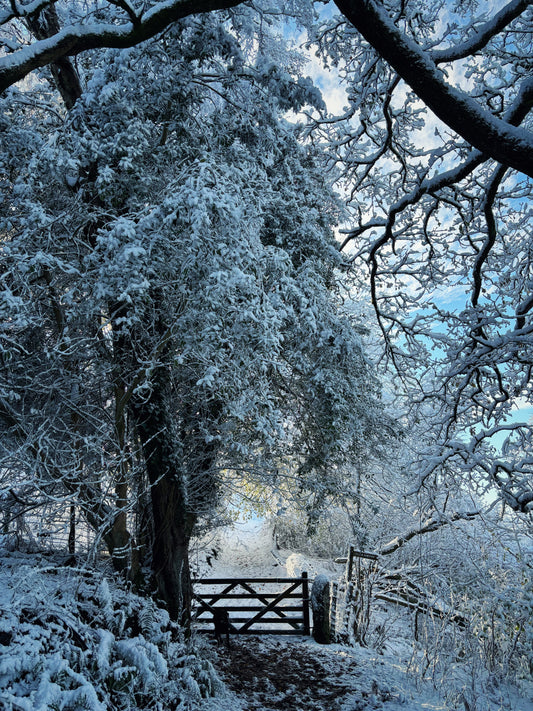 Snow Gate Sticklepath Dartmoor