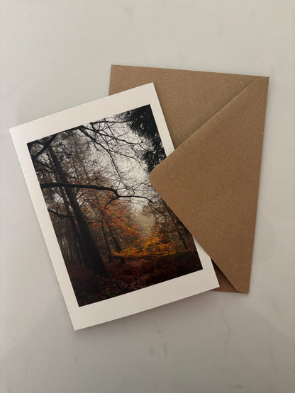 Last Glimmers, Autumn on Dartmoor Greeting Card