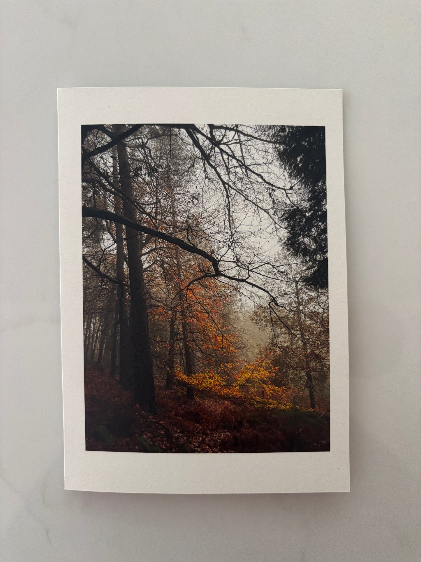 Last Glimmers, Autumn on Dartmoor Greeting Card