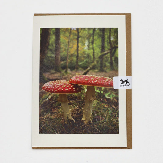 Fly Agaric Dartmoor greeting card on a kraft envelope with Gaby Doodle dog seal