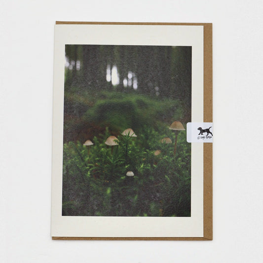 Bonnet Mushrooms Dartmoor greeting card on a kraft envelope with Gaby Doodle dog seal
