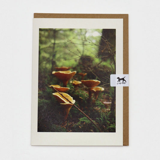 False Chanterelles Dartmoor greeting card on a kraft envelope with Gaby Doodle dog seal