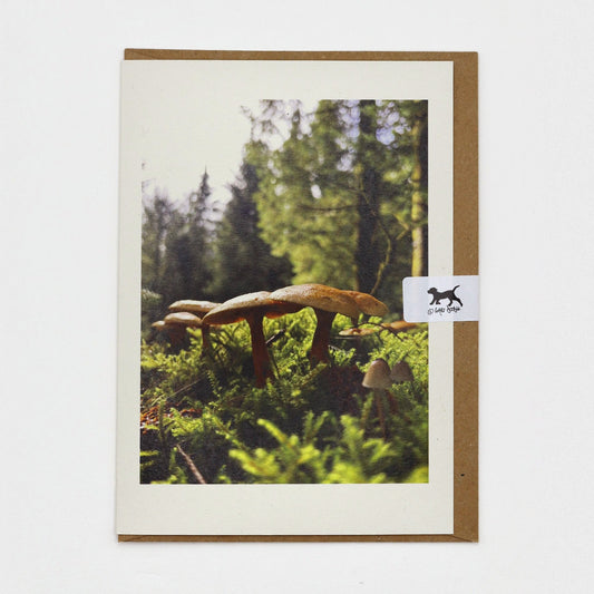 Fungi and Moss Dartmoor greeting card on a kraft envelope with Gaby Doodle dog seal