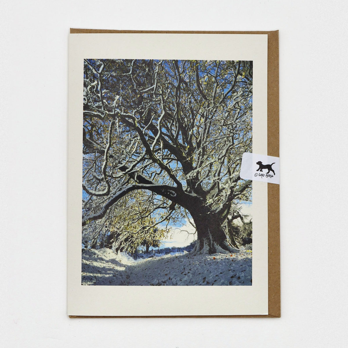 Snow on the Sheep Field Tree Dartmoor Christmas card on a kraft envelope with Gaby Doodle dog seal