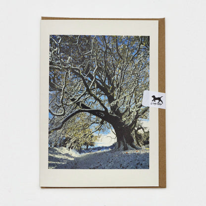 Snow on the Sheep Field Tree Dartmoor Christmas card on a kraft envelope with Gaby Doodle dog seal