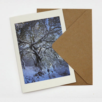 Walking Home in the Snow Christmas card showing a walker and dog beneath snow-laden trees on a Dartmoor lane