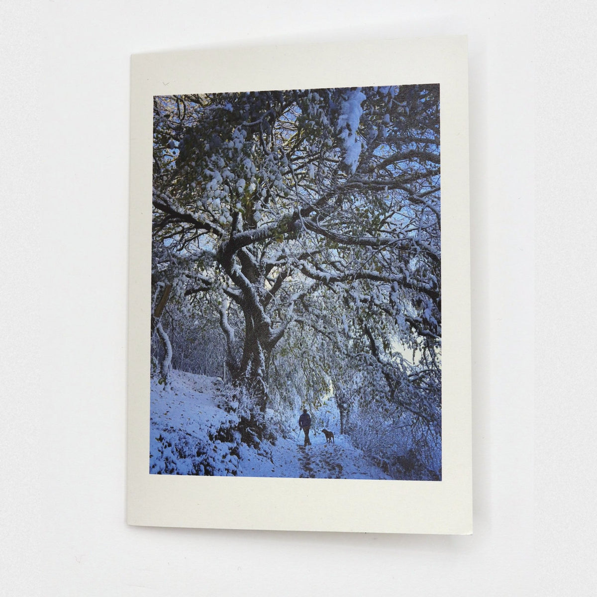 Walking Home in the Snow Christmas card showing a walker and dog on a lane beneath snow-laden trees