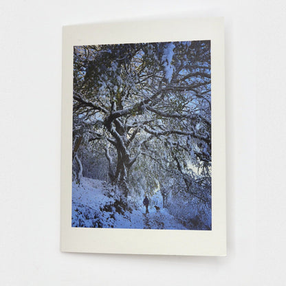 Walking Home in the Snow Christmas card showing a walker and dog on a lane beneath snow-laden trees