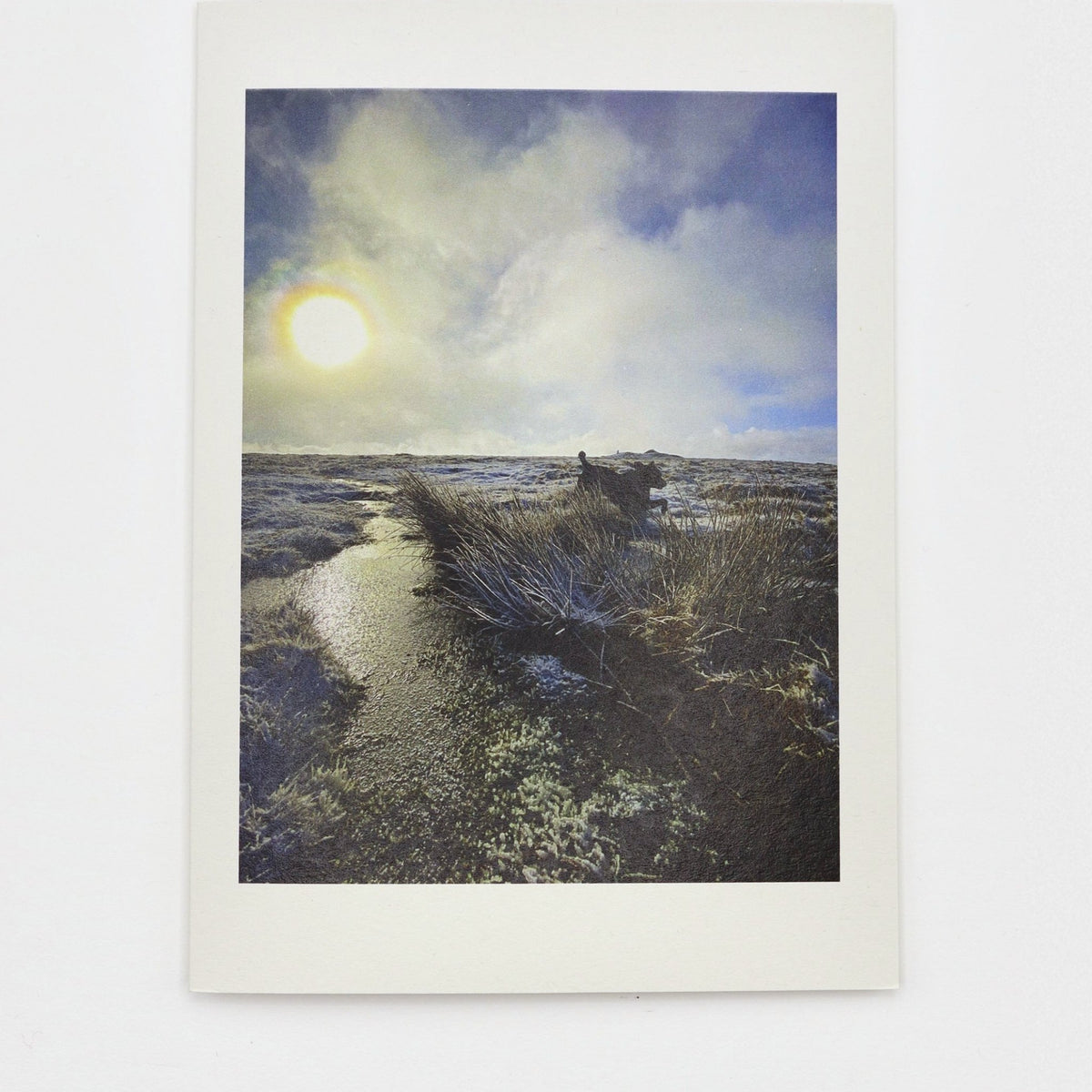 Winter Sun on Cosdon Christmas card showing a dog leaping over frosty Dartmoor moorland beneath a low winter sun