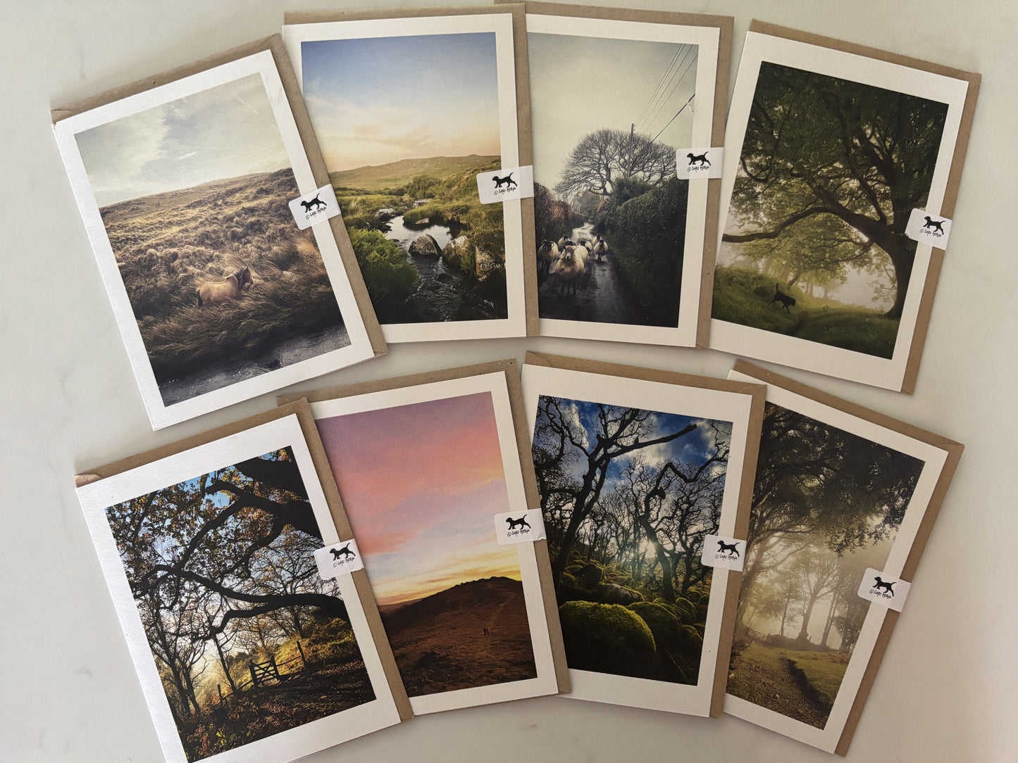 Pack of Eight Dartmoor Landscape Greetings Cards