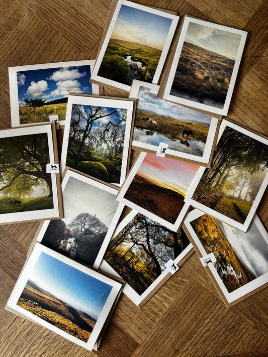 Wholesale Mixed Card Pack (100 cards)