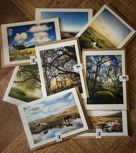 A flat lay of Gabydoodle Dartmoor photographic greeting cards spread across a wooden surface, showing a selection of Devon landscape scenes printed on recycled card with kraft envelopes