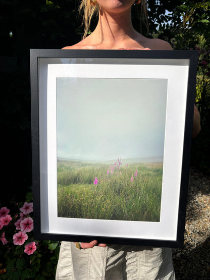 Misty Foxgloves, Dartmoor (Giclée Art Print)