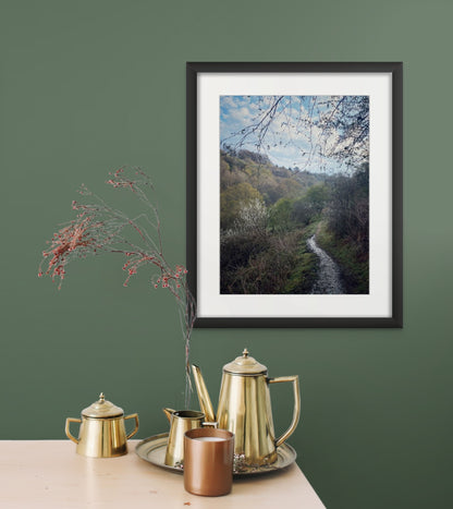 Spring Tracks (Giclée Art Print)